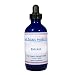 Hoodia Gordonii Pure Extract 4oz (120ml)