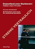 Produkt-Bild: Deutschland unter Starkstrom: Kollabiert unsere Wirtschaft?