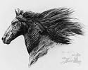 Friesian (Le) Poster Print