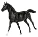 Black Beauty