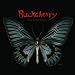 Black Butterfly(Limited Fanclub Edition)