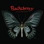 Black Butterfly(Limited Fanclub Edition)