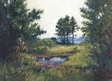 Salt Marsh, Fields Art Poster Print by Marian Hirsch, 24x19.5