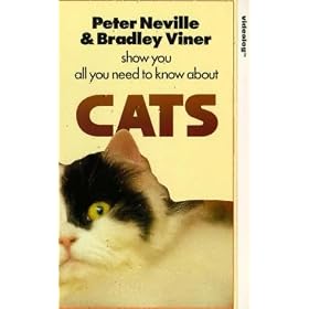 Cats - Everything You Need To Know About Cats