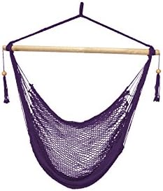 Island Rope Hammock Chair Color: PURPLE