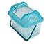 Small Animal Insect Habitat Bug Cage 