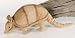 Plush Armadillo w/ Picture Hang Tag 19