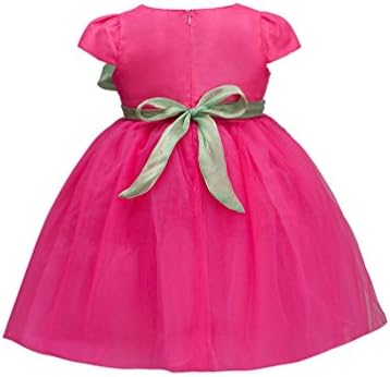 Shamila Little Girl's Round Neck Mesh Cap Sleeves Dress With Butterfly Knot Rose Red Size 4
