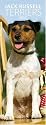 Jack Russell Terriers 2010 Slim