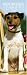 Jack Russell Terriers 2010 Slimline