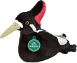 Ivory-Billed Woodpecker