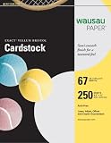 Wausau Vellum Bristol Cardstock, 67 lb, 8.5 x 11 Inches, Pastel Gray, 250 Sheets (82348)