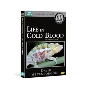 Life in Cold Blood (Repackaged) [Import anglais]