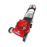 Troy-Bilt 190cc B&S 21 3-n-1 4-speed RWD