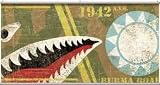 Flying Tiger Military Plane No Paste Minute Murals