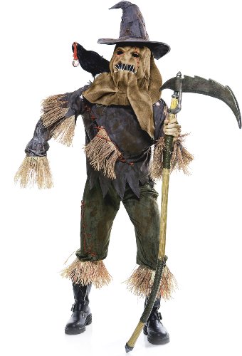 Paper Magic Men's Wicked of Oz Skarecrow costume, Gray, Large  