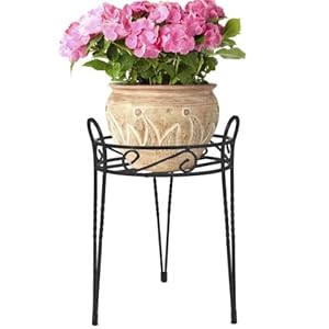 om : CobraCo Canterbury 15-Inch Black Scroll 