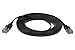 10 ft Cat 6 Unshielded (UTP) Flat Ethernet Network Cable - Black
