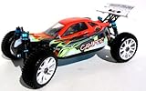 NEW 2.4GHZ RC BUGGY 1/8 NITRO HSP 2011 RTR RACE SPEC