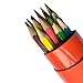 TENPEN -18-Color Colored Pencils Set for Adults and Kids/Vibrant Colors,Drawing Pencils for Sketch, Arts, Coloring Books (Cylinder)