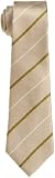 French Connection Men's Lucy Stripe Tie