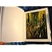 The Complete Graphics of Eyvind Earle and Selected Poems, Drawings and Writings by Eyvind Earle 1991-2000