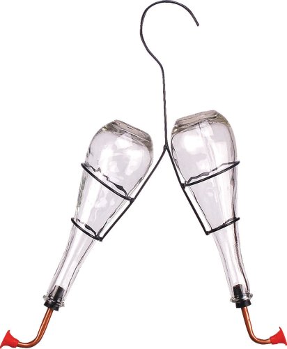 Hummingbird Feeder Double Feeder - Clear