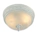 Search : Royce Lighting RFM2155/2-49 Flush Mount Ceiling Fixture Winter White with Alabaster Globe