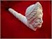 Meerschaum Smoking Pipe - Zeus Design - With Gift Box