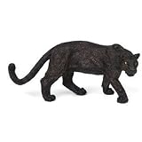 Black Jaguar