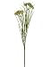 Faux 26 Wild Dill Spray w/Grass Yellow (Pack of 24)