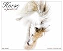 Horse: A Portrait 2009 Wall Calendar