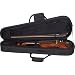 Protec MAX STUDENT 4/4 VIOLIN CASE