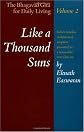 Like a Thousand Suns (The Bhagavad Gita for Daily Living, Vol. 2)