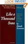 Like a Thousand Suns: The Bhagavad Gita for Daily Living, Volume II (The Bhagavad Gita for Daily Living, Vol. 2)