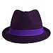 41ZcWhefN1L. AA75  PLUM CLASSIC STRUCTURED WOOL FEDORA HAT