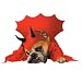 Pet Supplies : - Devil Pet Costume - Small