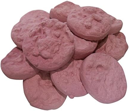 Ceramic 'Real Rock' Reef Disks - Colored (Coralline, 30)