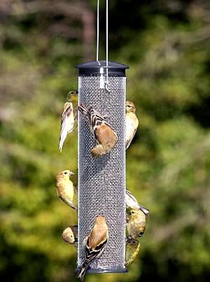 Nyjer Mesh Tube Bird Feeder Medium
