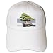 Trees - Bonsai Tree - Caps Trees - Bonsai Tree - Caps