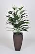 Artificial 4ft Spathphyllum