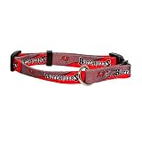 Tampa Bay Buccaneers Dog Collar