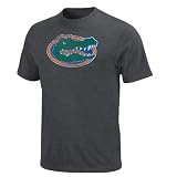 NCAA Florida Gators Fan Since Birth Charcoal Heather Short Sleeve Basic Tee By Majestic, Charcoal Heather, X-Large at Amazon.com