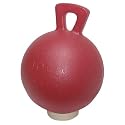 Jolly Ball Toy -10"