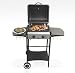 Garten & Freizeit : Luxus Barbecue - Gasgrill mit 2 Brennern