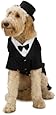 Dapper Dog Tuxedo Pet Costume, X-Large