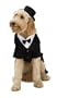 Dapper Dog Tuxedo Pet Costume, Large