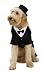 Dapper Dog Tuxedo Dog Costume