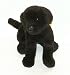 16 Black Labrador Retriever Puppy