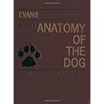 Miller's Anatomy of the Dog